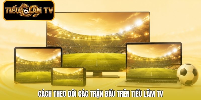 Cách theo dõi các trận đấu trên Tiếu Lâm TV